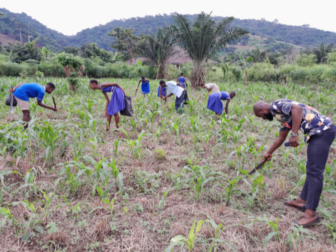 Work on school farms